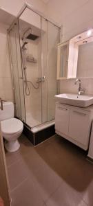 ein Badezimmer mit Dusche, Toilette und Waschbecken in der Unterkunft ZUM GUTEN HIRTEN in Traben-Trarbach