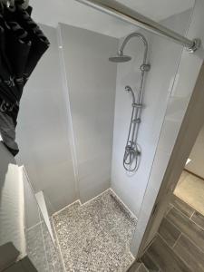 a shower stall with a shower head on a wall at Appartement neuf, centre-ville, 400m de rivetoile in Strasbourg