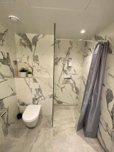ein Badezimmer mit Toilette und Dusche in der Unterkunft Lux Studio HOTEL in Keila + 8 Fotos