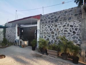 ein Gebäude mit Pflanzen vor einer Steinmauer in der Unterkunft Casa Luna María in Chiconcuac