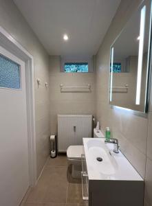 a bathroom with a sink and a toilet and a mirror at Bosvakantie Veluwe - Huisje 54, Hoefbos, Otterlo in Otterlo