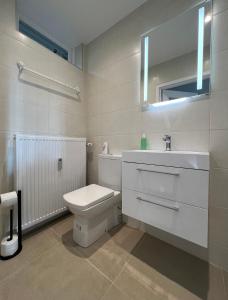 a bathroom with a toilet and a sink and a mirror at Bosvakantie Veluwe - Huisje 54, Hoefbos, Otterlo in Otterlo +14 photos