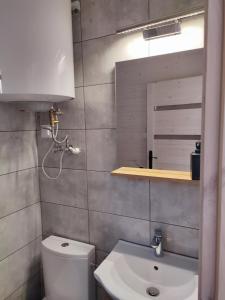 ein Badezimmer mit einer weißen Toilette und einem Waschbecken in der Unterkunft Zielonka Relaks in Rusinowo + 120 Fotos