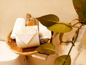 Fotografie z fotogalerie ubytování Casa De Los Pájaros - B&B v destinaci Valladolid