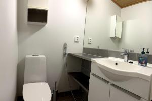 bagno con lavandino, servizi igienici e specchio di Spectacular Suite With Sauna a Rovaniemi