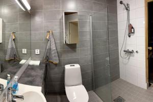 e bagno con servizi igienici, lavandino e doccia. di Spectacular Suite With Sauna a Rovaniemi