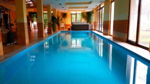 Bazén v ubytování Balaton Wellness Apartman nebo v jeho okolí
