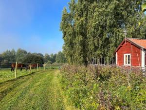 a red barn in a field with a horse in the background at Highnoon Westernranch guesthouse in Ljusdal