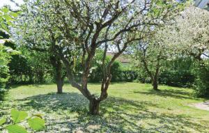 Κήπος έξω από το Holiday Home Lertagsvägen Mörbylånga Ii