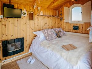StoodleighにあるNirvanaのテレビ、暖炉が備わる木造の部屋のベッド1台分です。