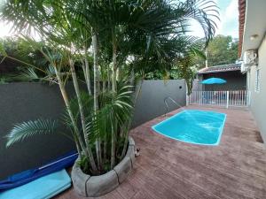 a palm tree in a pot next to a swimming pool at Casa Olímpia, piscina aquecida, ar condicionado, garagem 2 carros p in Olímpia