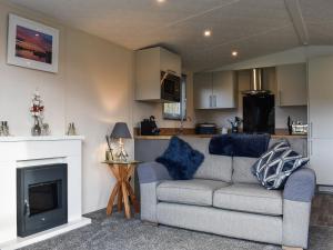 a living room with a couch and a fireplace at Doodles At Brid in Sewerby