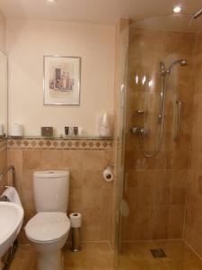 a bathroom with a shower and a toilet and a sink at The Old Coach House in Ripon