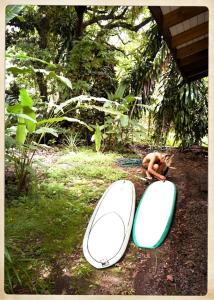 Vonkajšia záhrada v ubytovaní Boho lodge Montezuma l&l