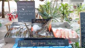 穆島的住宿－柯木海景簡易別墅旅館，海鲜市场出售的鱼展