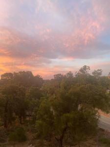 a view of trees and a road at sunset at Bright 1 Bedroom Joondalup Stay in Perth +3 photos