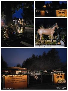 un collage de cuatro fotos con un caballo en la noche en Ferienhaus auf dem Lusitanohof Jäger, en Fürth