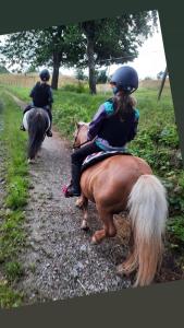 Due persone che cavalcano per una strada sterrata di Ferienhaus auf dem Lusitanohof Jäger a Fürth