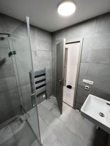 W łazience znajduje się szklana kabina prysznicowa i umywalka. w obiekcie Apartman Jizerky w mieście Janov nad Nisou