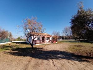 a small house with a tree in a field at Casa de Campo Los Manueles Ideal Perros Pet Friendly in Gójar