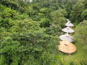 Κήπος έξω από το Forest falls Garden Maerim Chiangmai ตาดปลาแคมป์ออร์แกนิคฟาร์มสเตย์เชียงใหม่