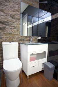 a bathroom with a white toilet and a mirror at Albergue Turistico Salceda in Salceda