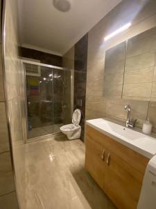y baño con aseo, lavabo y ducha. en 2bedroom cozy apartment en Estambul