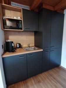 uma pequena cozinha com um lavatório e um micro-ondas em Les Comblés des Combes em Ollon