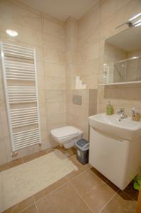 ein Badezimmer mit einer weißen Toilette und einem Waschbecken in der Unterkunft View Of The Top - Bjelašnica in Bjelašnica + 6 Fotos