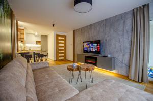 ein Wohnzimmer mit Sofa und Fernseher in der Unterkunft View Of The Top - Bjelašnica in Bjelašnica