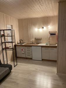uma cozinha com um balcão e um lavatório num quarto em MilAdrija em Rokiskis