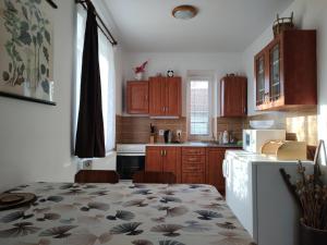 a kitchen with a table with a flower pattern on it at Apartmán Bystré in Bystré +14 photos