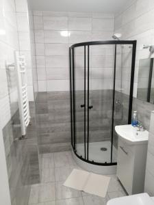 y baño con ducha, aseo y lavamanos. en Noclegi u Eugenii, en Licheń