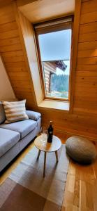 a living room with a couch and a window at Apartment 533 at Aparthotel Vucko Jahorina in Jahorina