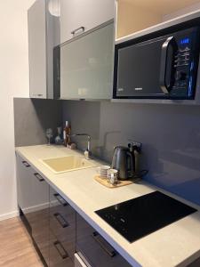 uma cozinha com um lavatório e um micro-ondas em Studio Nr 6 em Bansko