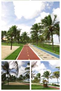 four different pictures of a palm tree lined road at CORVINA SUMMER HOUSE in Guarajuba