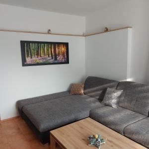Haus Mundl في توبليتز: غرفة معيشة مع أريكة وطاولة قهوة