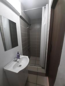 a bathroom with a sink and a shower with a mirror at Vila Dionysos Brasov in Braşov