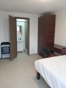 a bedroom with a bed and a desk and a sink at Vila Dionysos Brasov in Braşov +43 photos