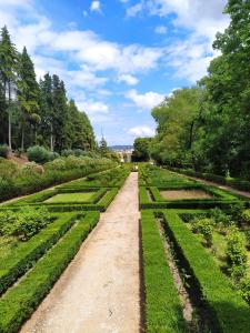 un camino a través de un jardín con césped y arbustos en Tomarhousing - Style en Tomar