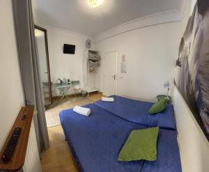 Un dormitorio con una cama azul con almohadas verdes en Gurtxu Rooms by Sun Sebastián, en San Sebastián