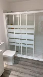 a white bathroom with a toilet and a shower at Casa dos Cantares in Padrón