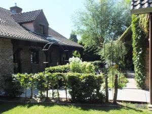 un jardín en el patio de una casa en Woning 'Chez Marley' in Maasmechelen, en Maasmechelen