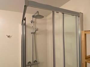 a shower with a glass door in a bathroom at Apartamento Casa Francho 3 in Panticosa +32 photos