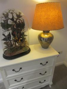 a lamp on a dresser next to a fish tank at Straleel South in Carrick