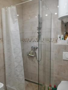 a shower with a glass door in a bathroom at BELVEDERE A9 ( N LUX MILMARI RESORT) in Kopaonik +18 photos