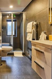 a bathroom with a sink and a toilet and a shower at Apartmány Výsluní in Špindlerův Mlýn