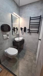 une salle de bain avec toilettes et douche en verre dans l'établissement Casa Chiper - Apartament Etaj 1, à Braşov 15 autres photos