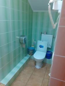 a bathroom with a toilet and a shower at Hostel Stozhary in Ternopilʼ