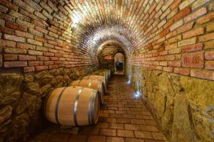 a row of barrels in a brick tunnel at Privat Bohemia in Šatov